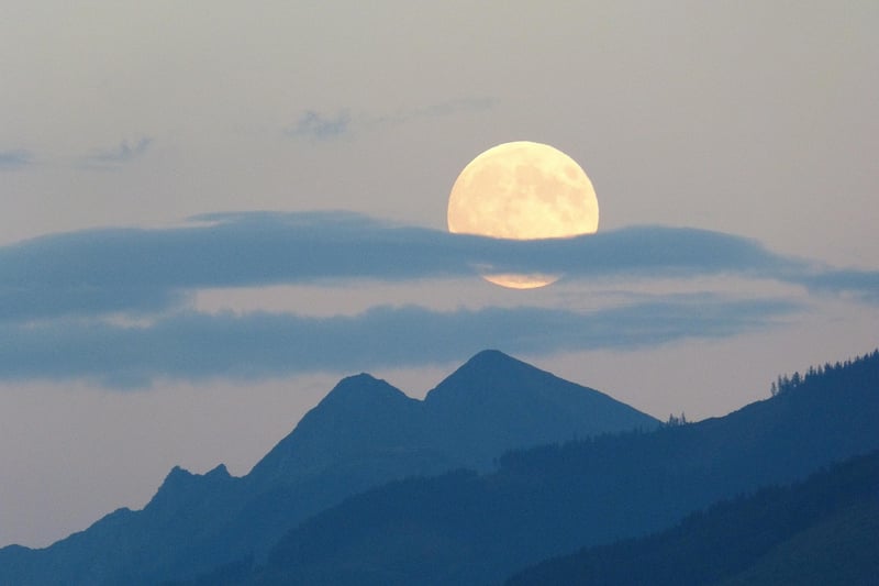 Moon Centerpiece